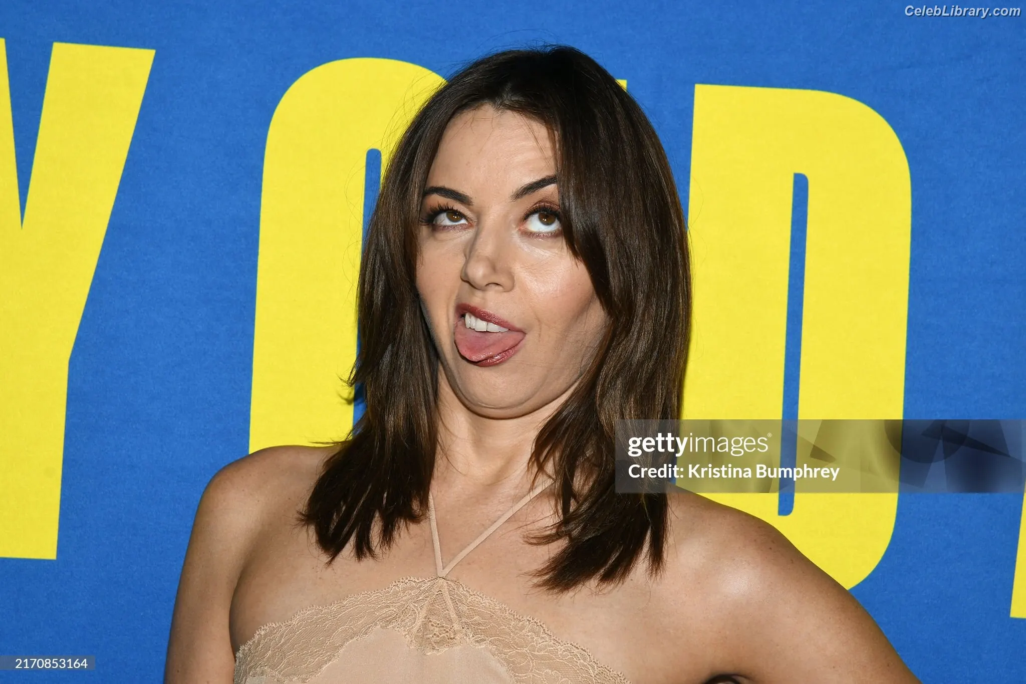 Aubrey Plaza photo 4 of 420