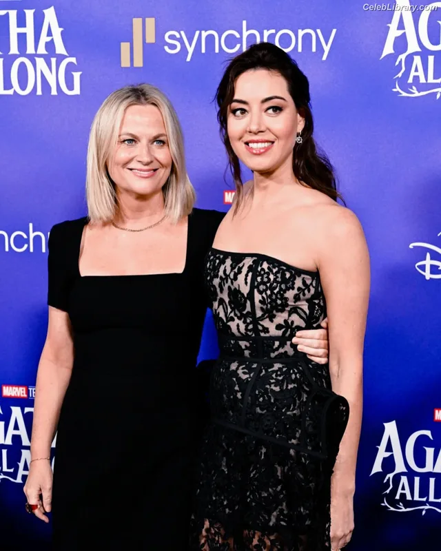 Aubrey Plaza photo 15 of 421