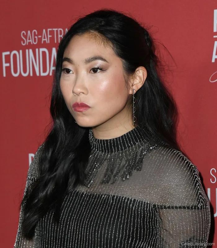 Awkwafina photo 15 of 60