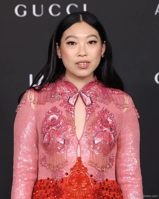 Awkwafina photo 20 of 60