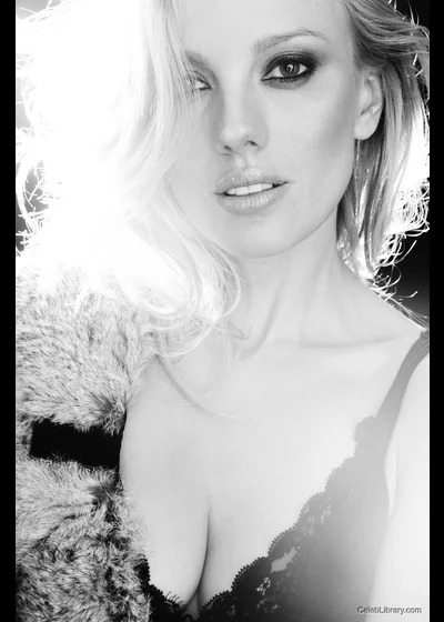 Bar Paly