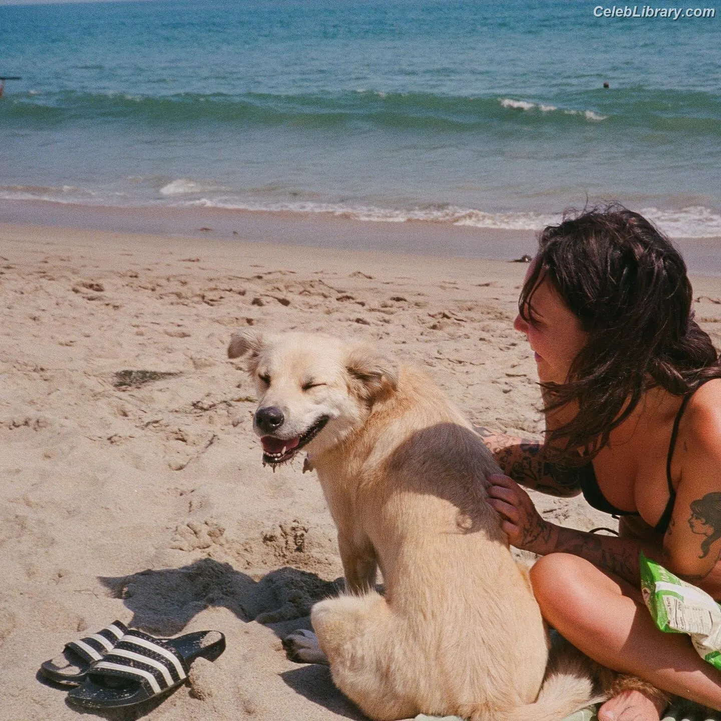 Bea Miller photo 4 of 339