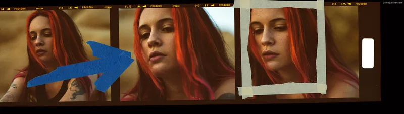 Bea Miller photo 19 of 340