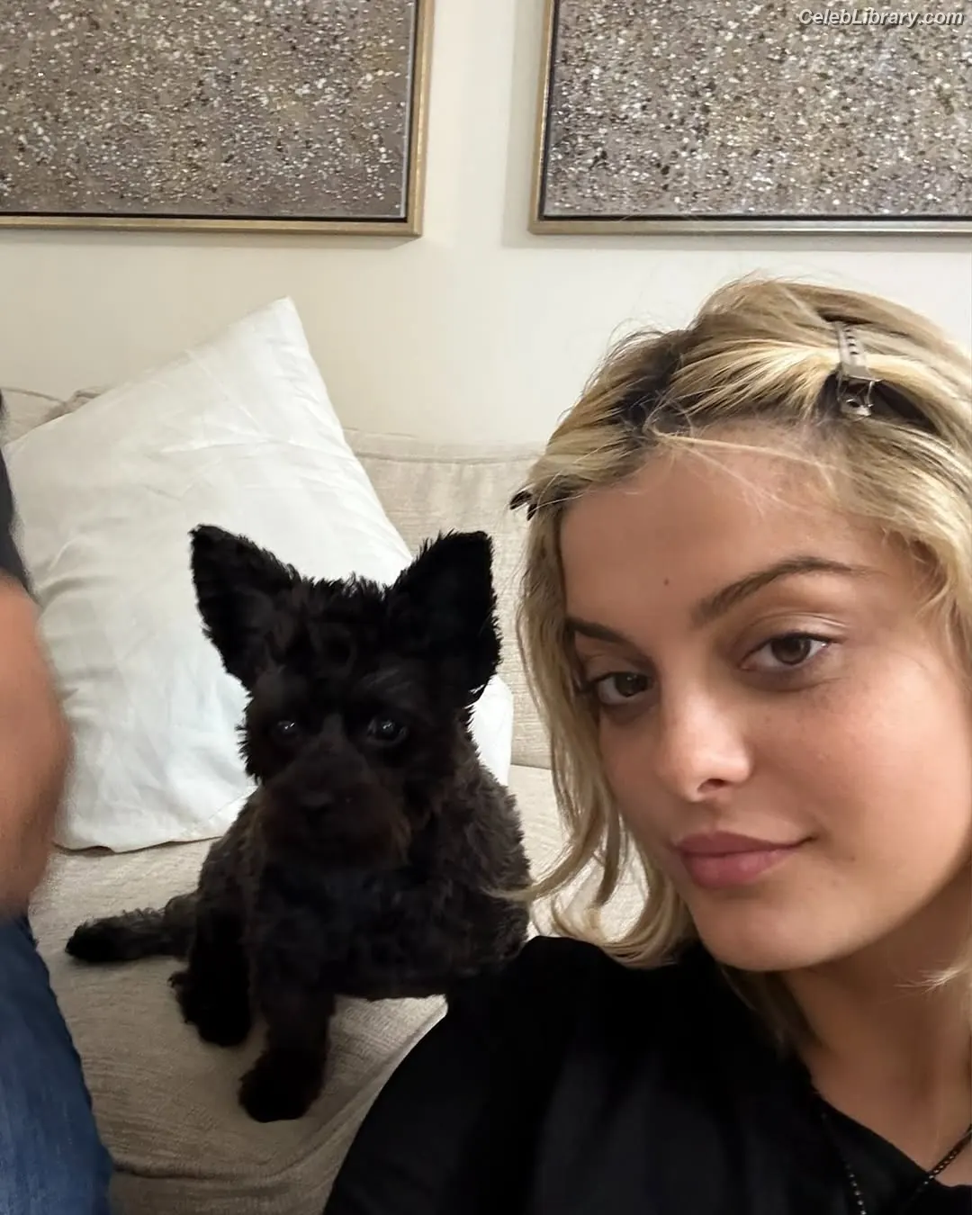 Bebe Rexha photo 2 of 403