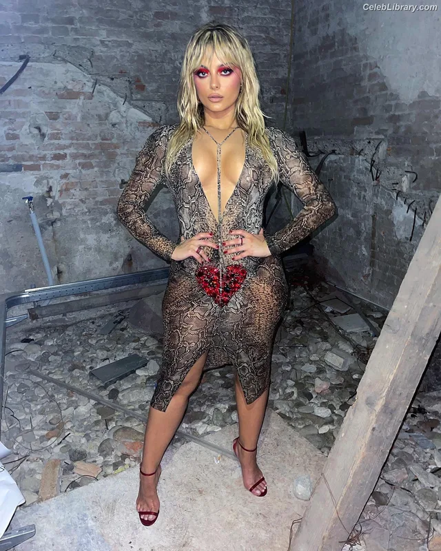 Bebe Rexha photo 15 of 404