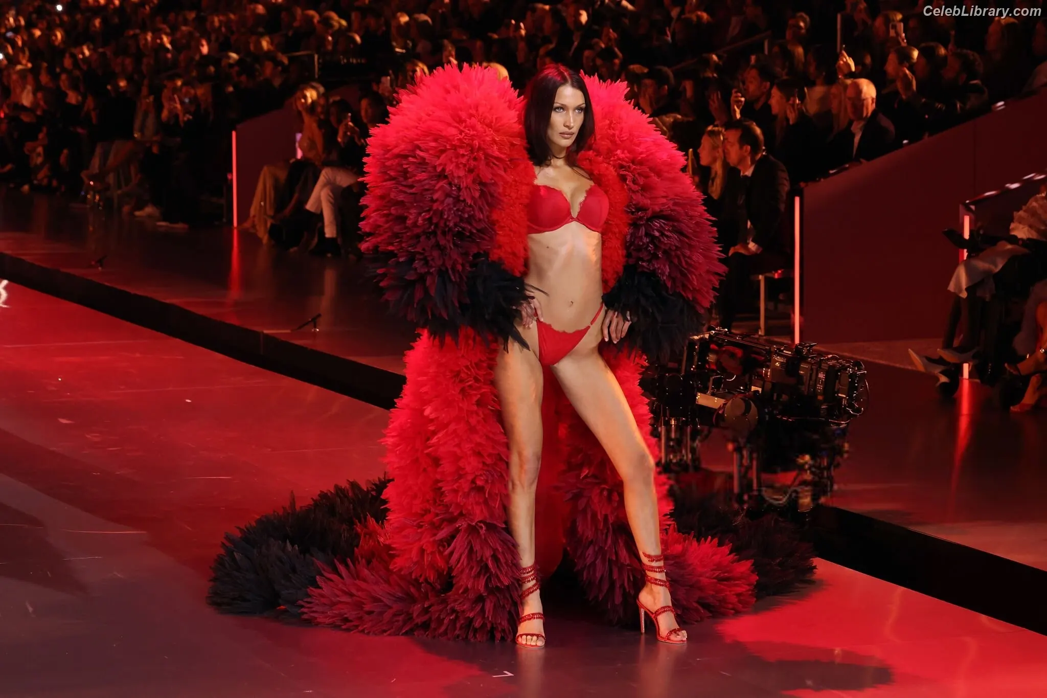 Bella Hadid photo 1 of 1888