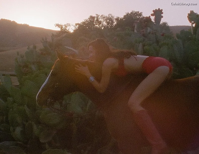 Bella Hadid photo 1 of 1874