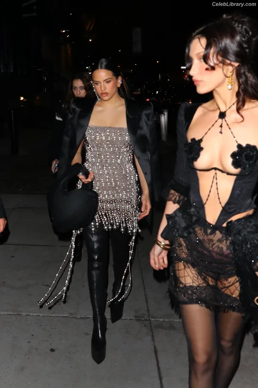 Bella Hadid photo 6 of 1874