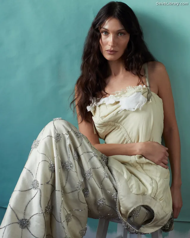 Bella Hadid photo 2 of 1874