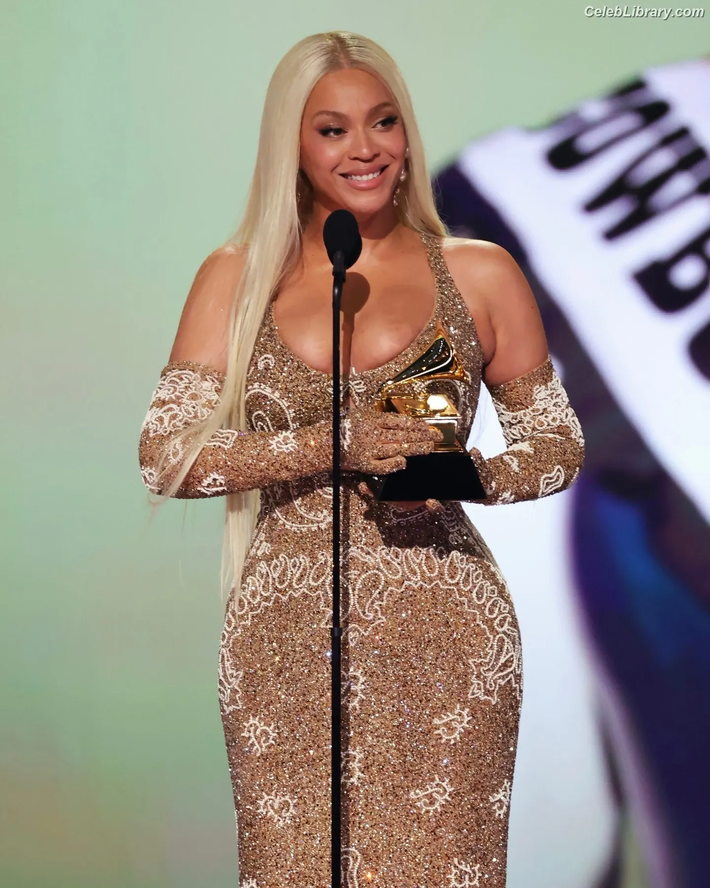 Beyoncé photo 2 of 1017
