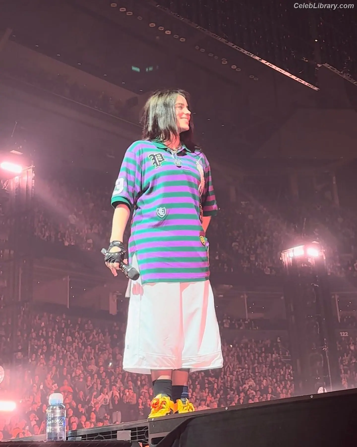 Billie Eilish photo 21 of 1845