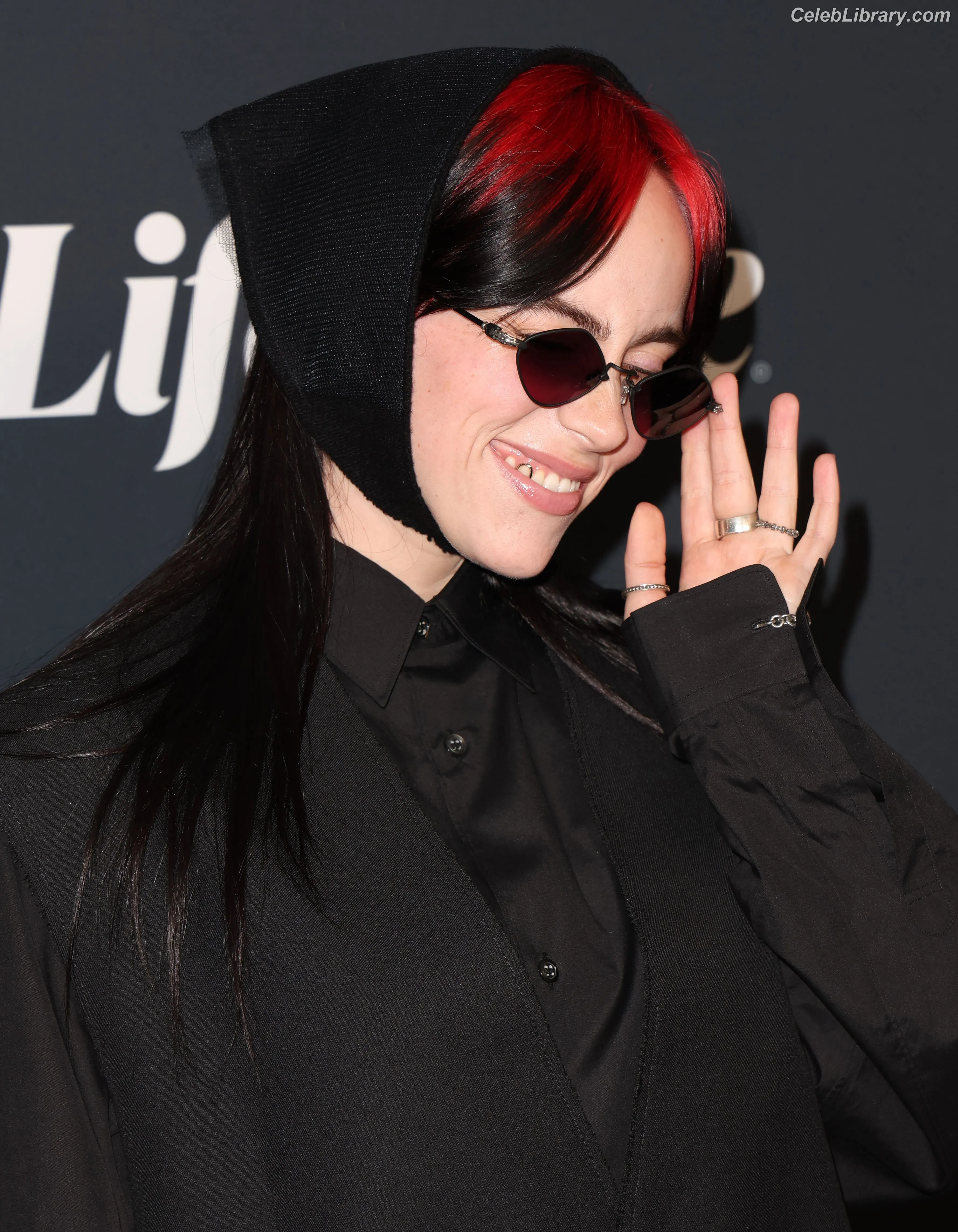 Billie Eilish photo 9 of 1845