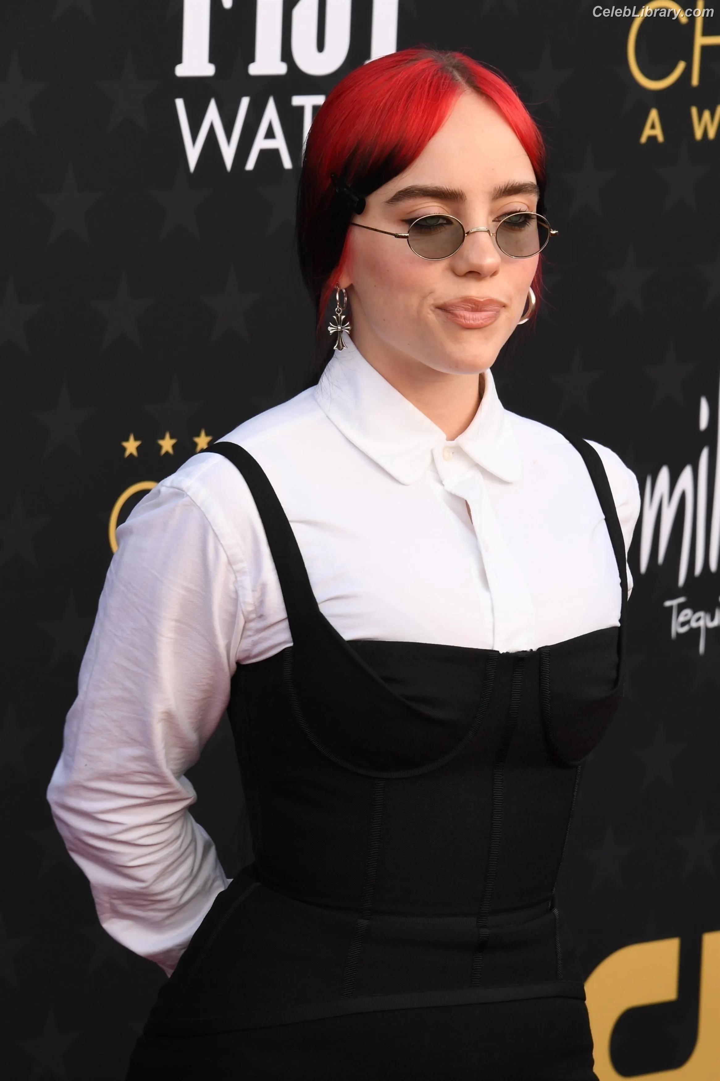 Billie Eilish photo 5 of 1845