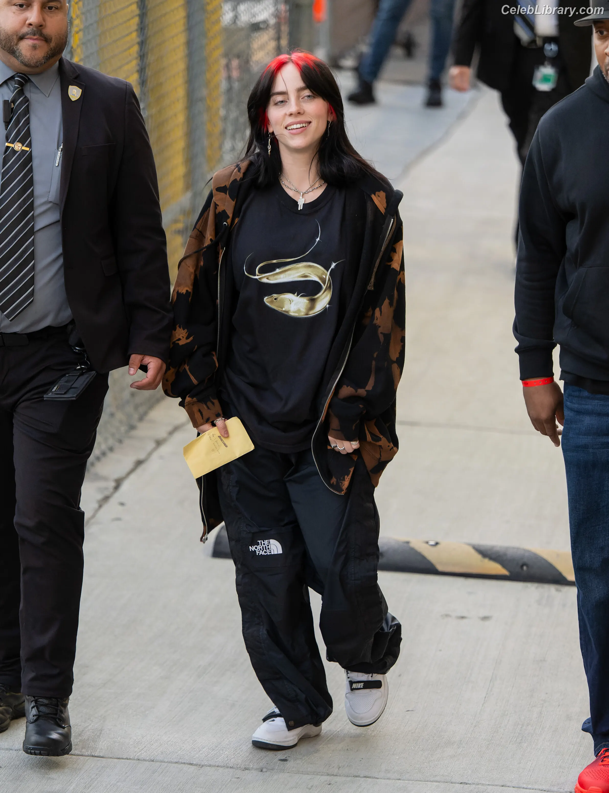 Billie Eilish photo 13 of 1845