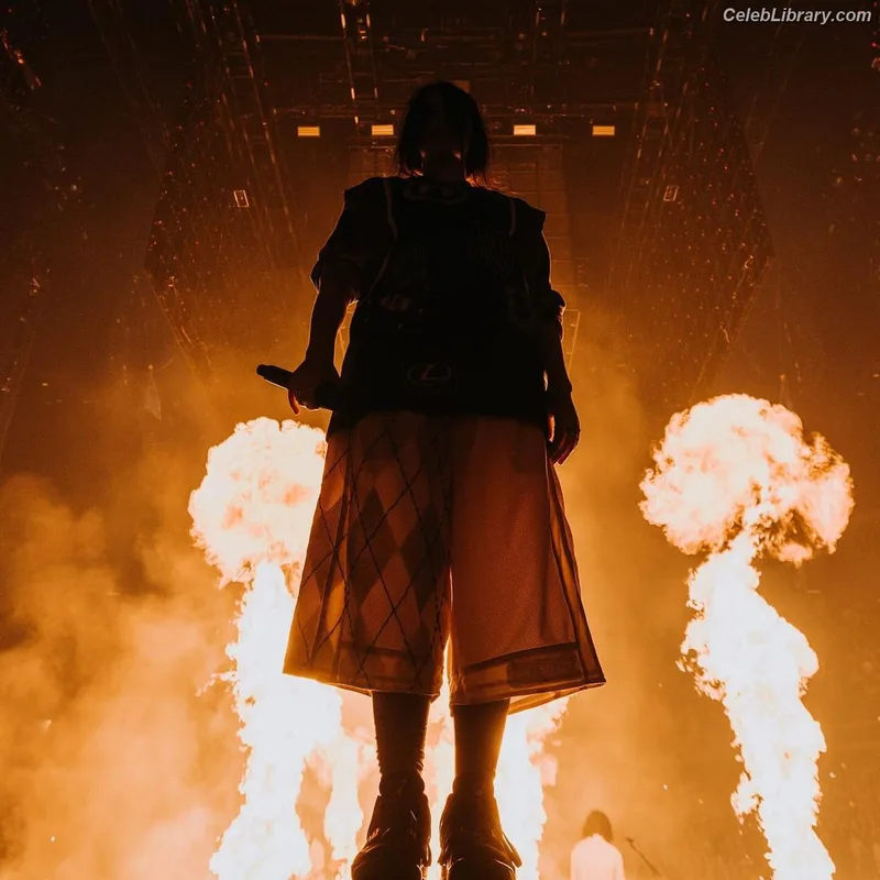 Billie Eilish photo 22 of 1846