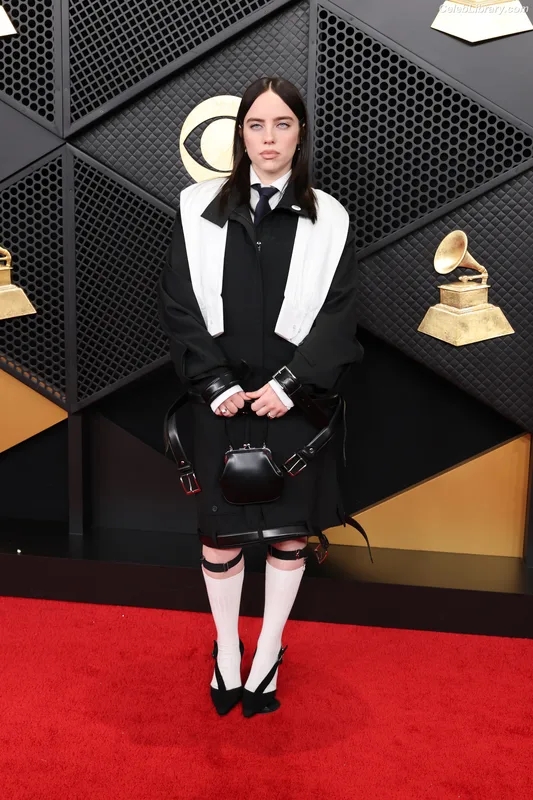 Billie Eilish photo 16 of 1846