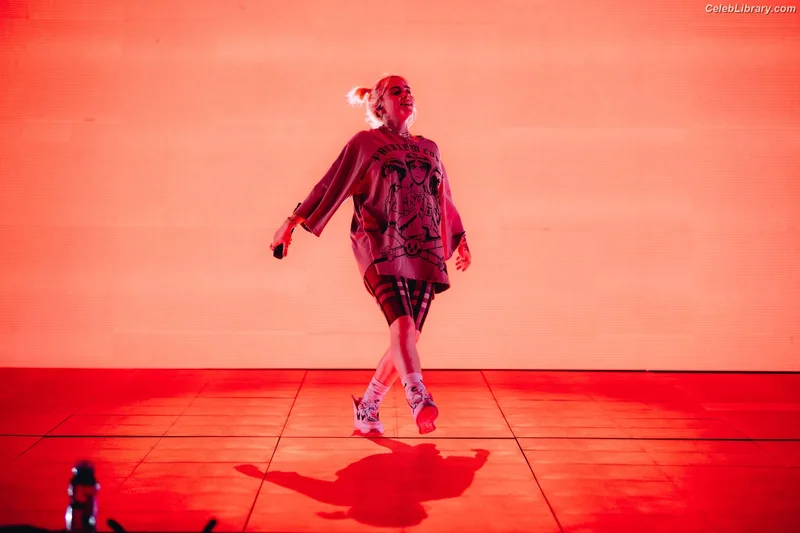 Billie Eilish photo 15 of 1846