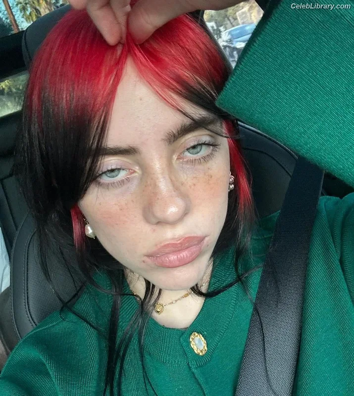 Billie Eilish photo 1 of 1846
