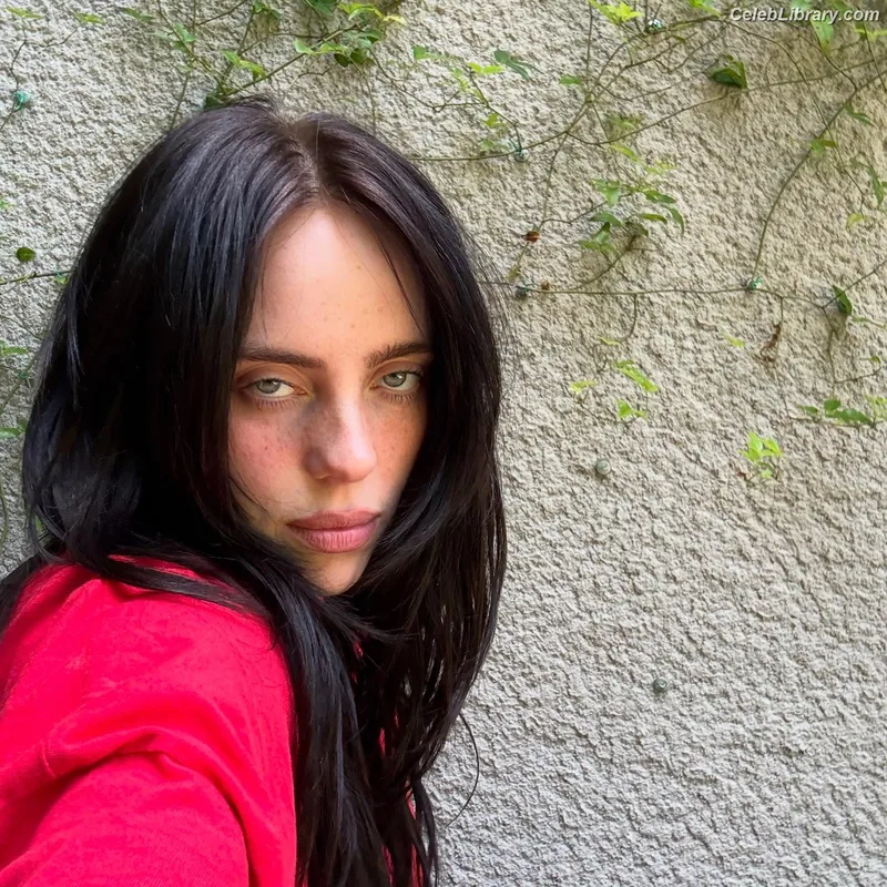 Billie Eilish photo 16 of 1846