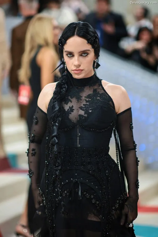 Billie Eilish photo 19 of 1846
