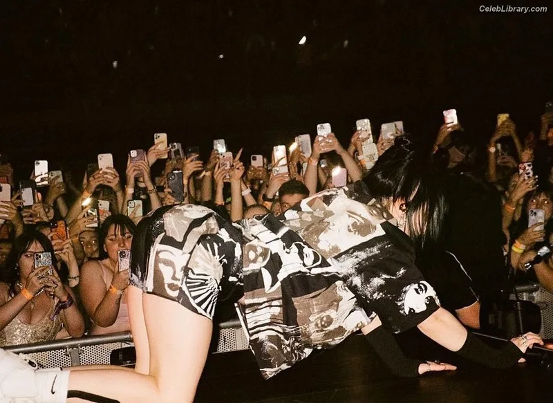 Billie Eilish photo 13 of 1846