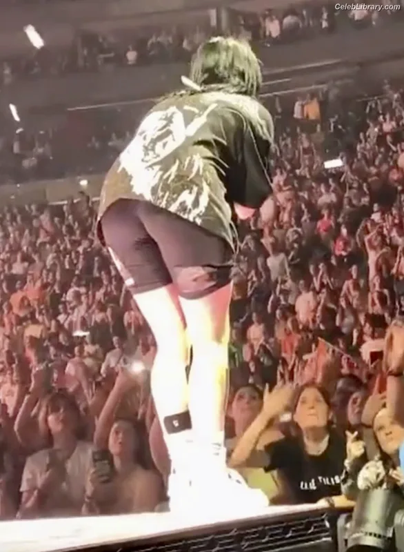 Billie Eilish photo 15 of 1846