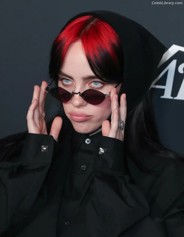 Billie Eilish photo 5 of 1846