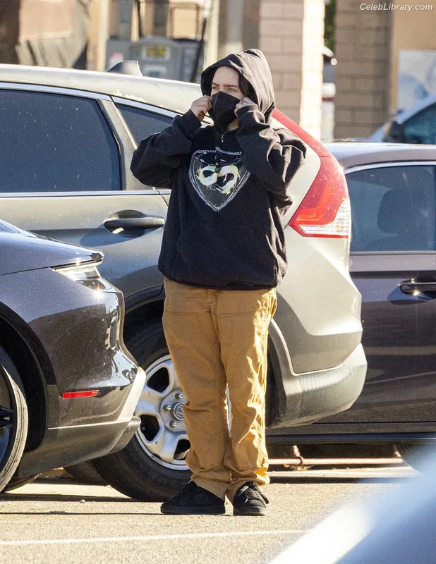 Billie Eilish photo 15 of 1846