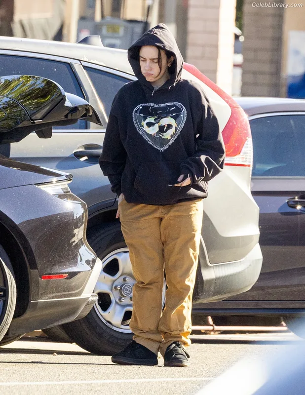 Billie Eilish photo 5 of 1846