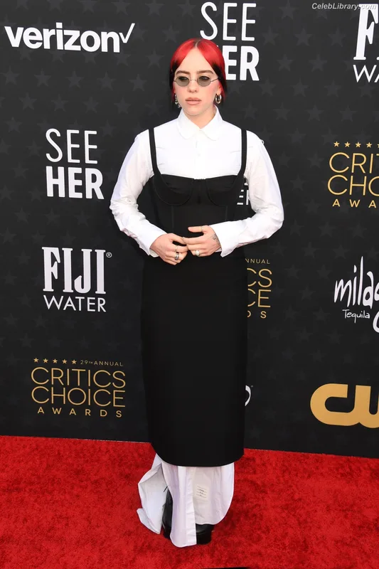 Billie Eilish photo 23 of 1846