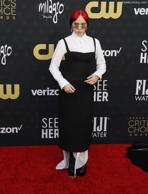 Billie Eilish photo 3 of 1846