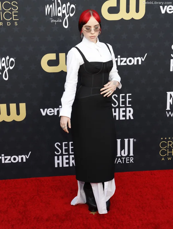 Billie Eilish photo 4 of 1846