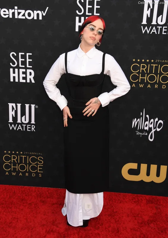 Billie Eilish photo 7 of 1846