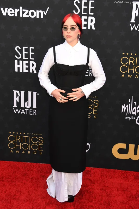 Billie Eilish photo 13 of 1846