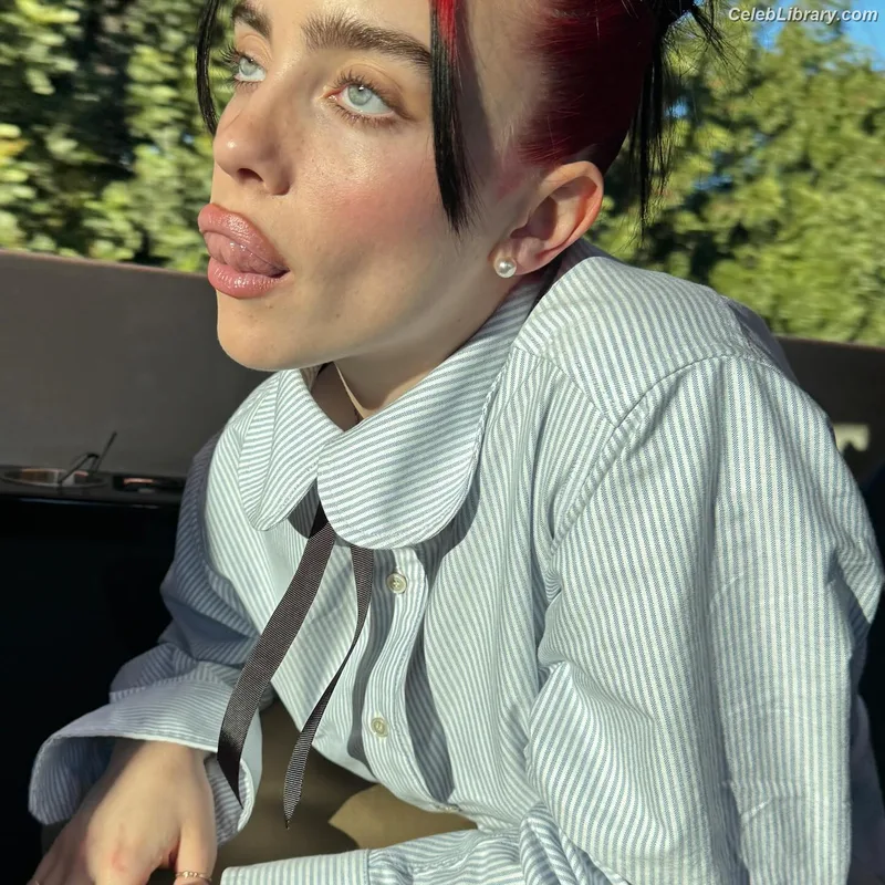 Billie Eilish photo 3 of 1846