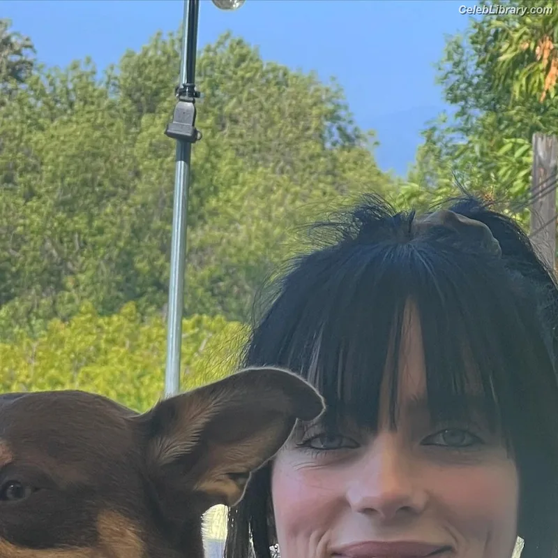 Billie Eilish photo 8 of 1846