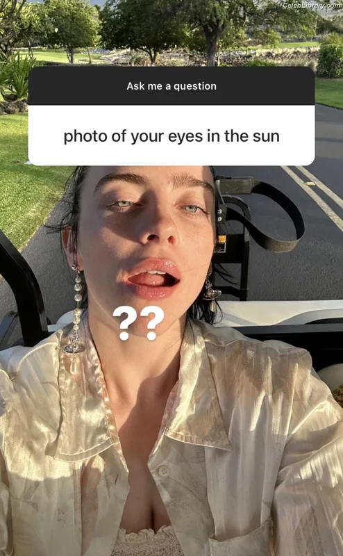 Billie Eilish photo 13 of 1846