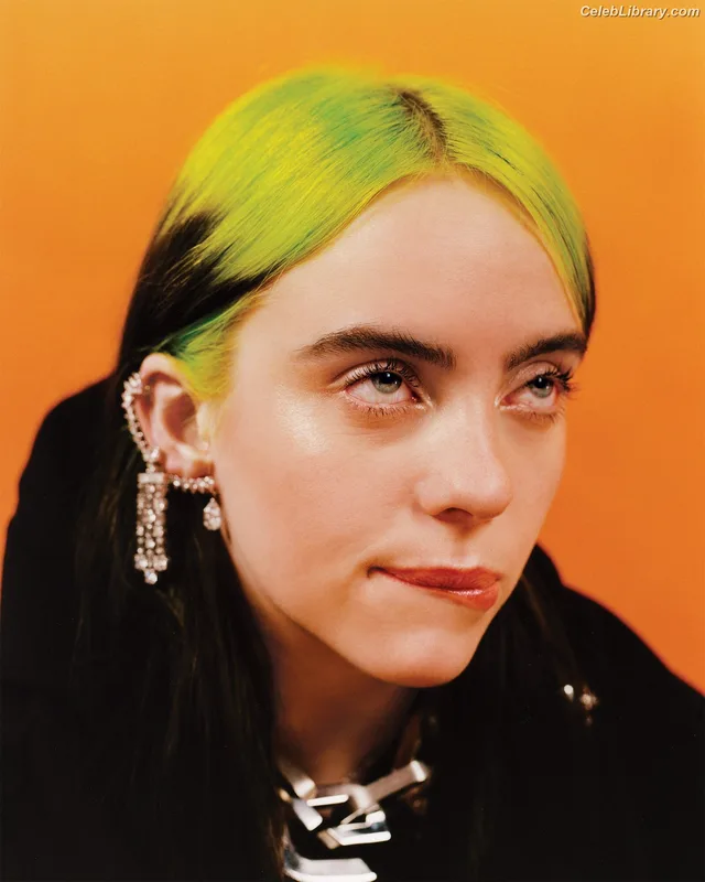 Billie Eilish photo 16 of 1846