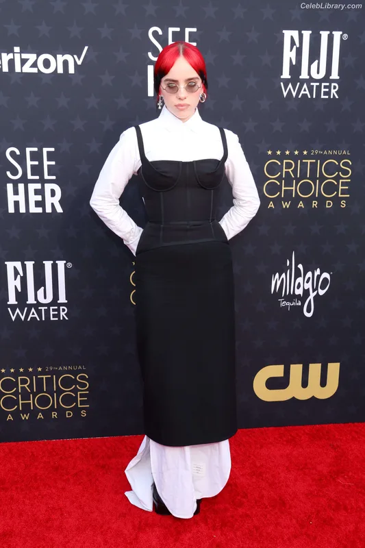 Billie Eilish photo 3 of 1846