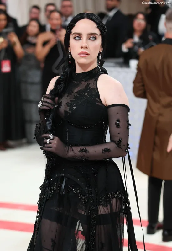 Billie Eilish photo 5 of 1846