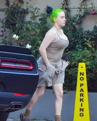 Billie Eilish photo 21 of 1846