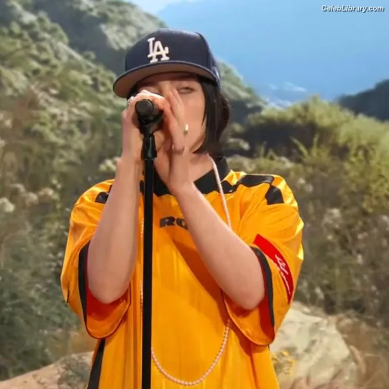 Billie Eilish photo 24 of 1846
