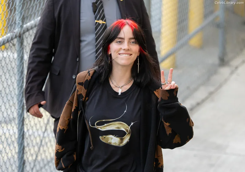 Billie Eilish photo 12 of 1846