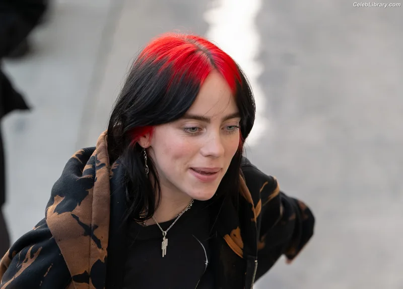 Billie Eilish photo 14 of 1846