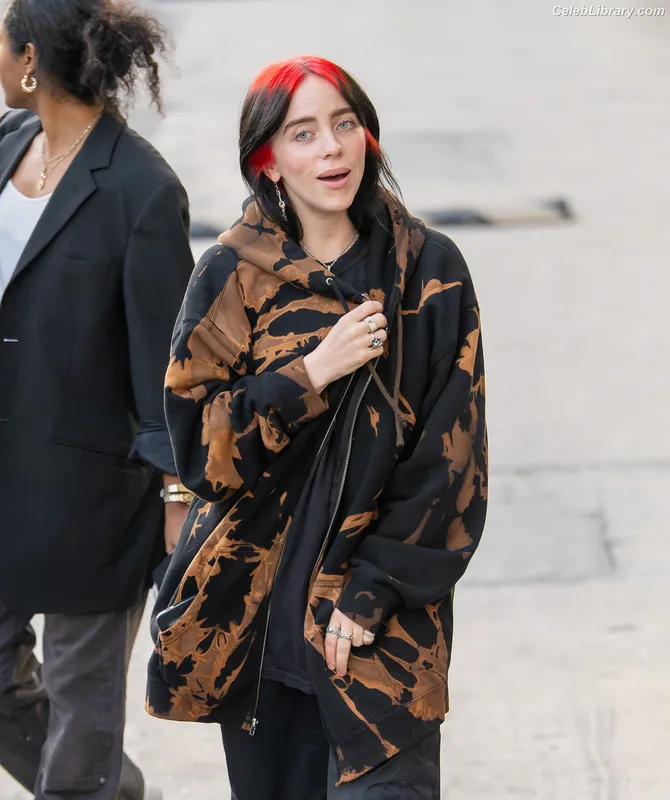 Billie Eilish photo 16 of 1846