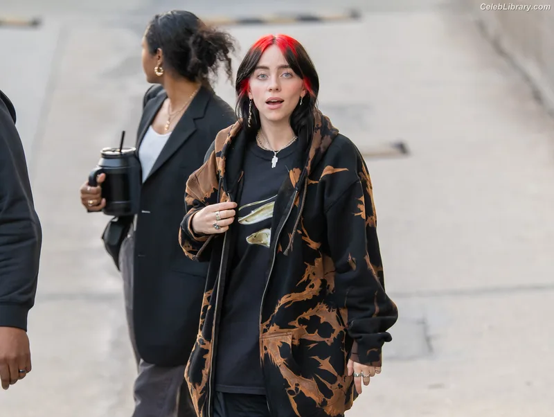 Billie Eilish photo 17 of 1846