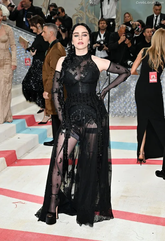 Billie Eilish photo 24 of 1846