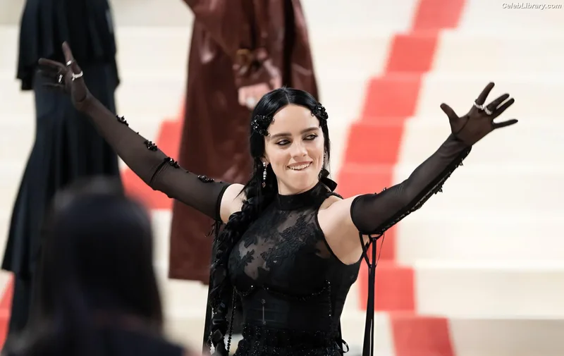 Billie Eilish photo 17 of 1846