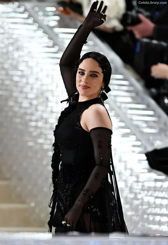 Billie Eilish photo 17 of 1846