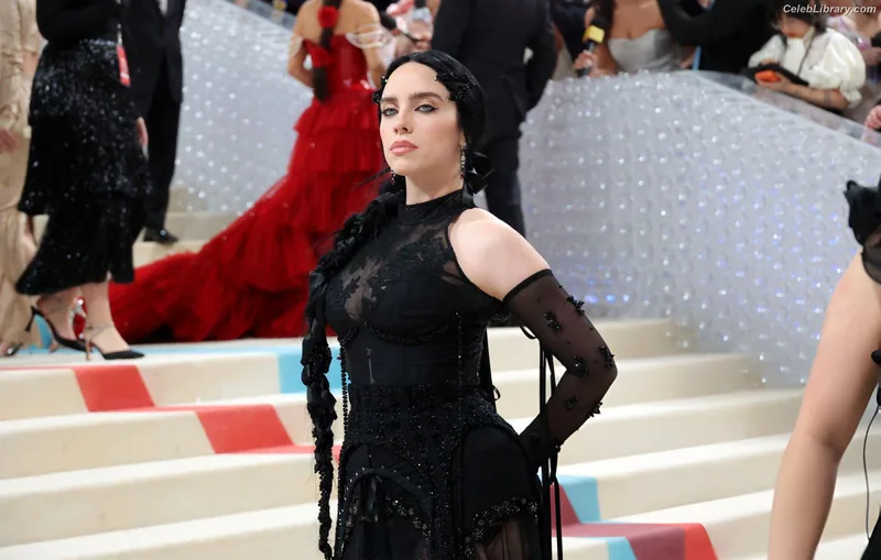 Billie Eilish photo 5 of 1846